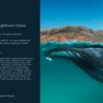 Adobe Photoshop Lightroom Classic CC 2020 v9.2.1 Crack Plus Serial Key